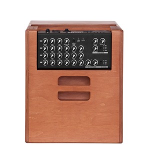 Комбоусилитель для акустической гитары Acus One ForStrings 10Ferdi Wood
