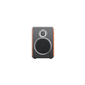 Активная акустика FiiO SA1 (F3053S) Twilight Black