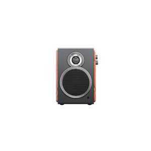 Активная акустика FiiO SA1 (F3053S) Twilight Black