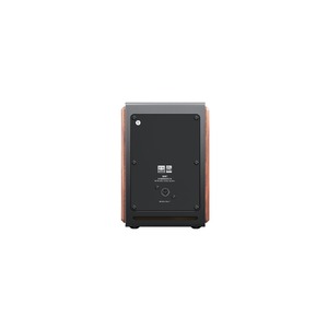 Активная акустика FiiO SA1 (F3053S) Twilight Black