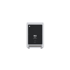Активная акустика FiiO SA1 (F3053S) Cloud White