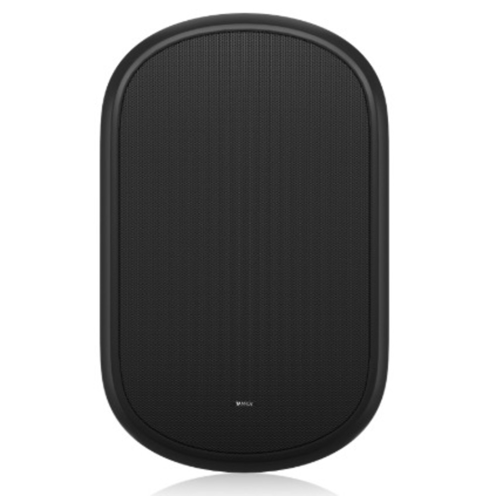 Акустика универсальная трансляционная Tannoy DVS 801