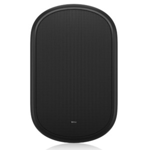 Акустика универсальная трансляционная Tannoy DVS 801
