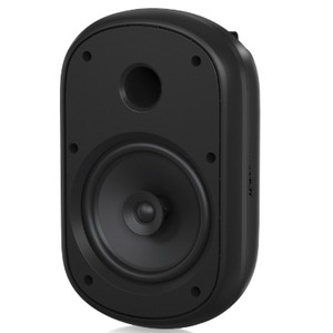 Акустика универсальная трансляционная Tannoy DVS 801