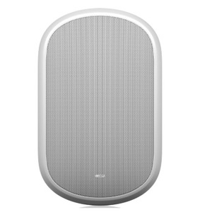 Акустика универсальная трансляционная Tannoy DVS 801-WH