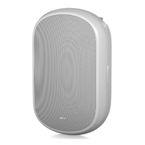 Акустика универсальная трансляционная Tannoy DVS 801-WH