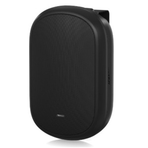 Акустика универсальная трансляционная Tannoy DVS 401