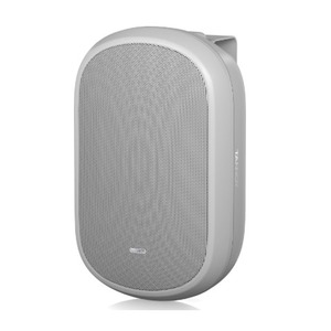 Акустика универсальная трансляционная Tannoy DVS 401-WH