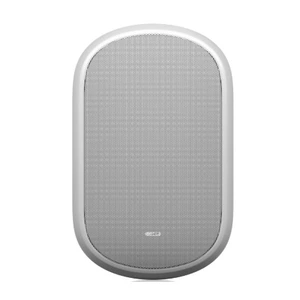 Акустика универсальная трансляционная Tannoy DVS 601-WH