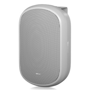 Акустика универсальная трансляционная Tannoy DVS 601-WH