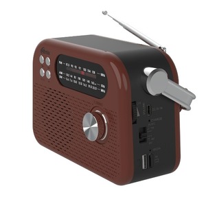Радиоприемник Ritmix RPR-045 CHOCOLATE