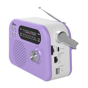 Радиоприемник Ritmix RPR-045 LAVENDER