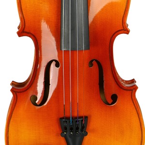 Скрипка Tomas Vagner V-90S 3/4