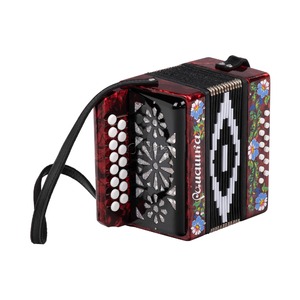 Гармонь Шуйская гармонь S20XL-C-BD