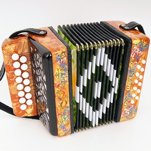 Гармонь Шуйская гармонь S40XL-C-YL