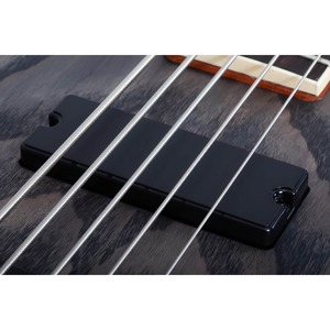 Бас-гитара SCHECTER C-5 STANDARD CS