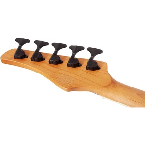 Бас-гитара SCHECTER C-5 STANDARD CS
