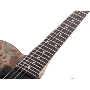 Электрогитара SCHECTER PT STANDARD BFBB