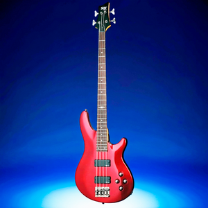 Бас-гитара SCHECTER SGR C-4 Bass MRED