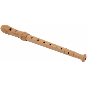 Блок флейта TERRIS XFLT WN