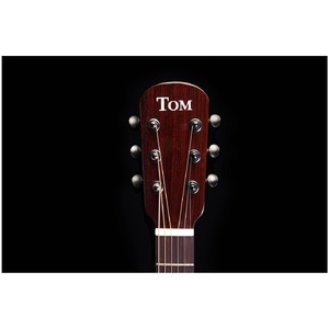 Электроакустическая гитара TOM GA-T1RE