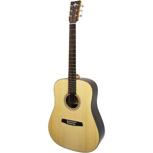 Акустическая гитара Tyrone SILVER D Rosewood