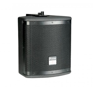 Пассивная AC STUDIOMASTER CTR-110