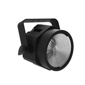 Прожектор PAR LED INVOLIGHT LIBERTY MODPAR COB