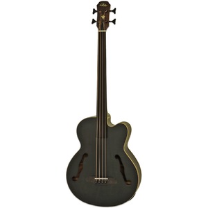 Акустическая бас-гитара ARIA FEB-F2M/FL STBK