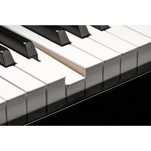 Рояль цифровой Kurzweil CUP G1W BP