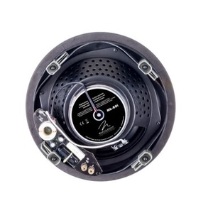 Встраиваемая потолочная акустика Martin Logan ML-80i