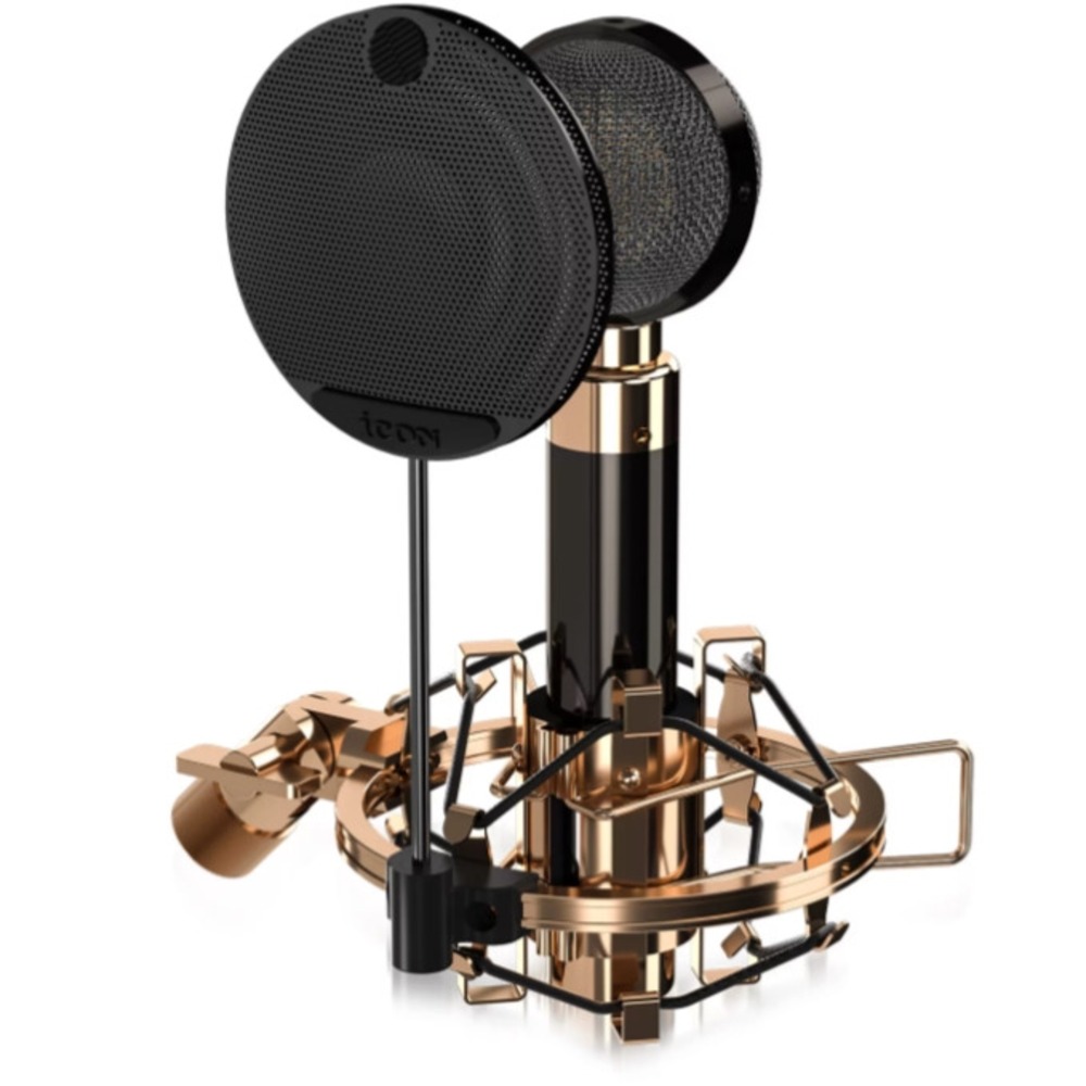 Микрофон студийный конденсаторный ICON Aurora