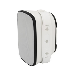 Акустика активная трансляционная NEVOD DWS-660PW