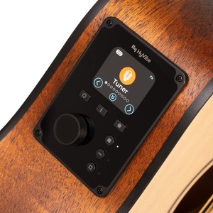 Электроакустическая гитара Cort Earth-GO-OP-WBAG