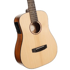 Электроакустическая гитара Cort Earth-GO-OP-WBAG