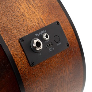 Электроакустическая гитара Cort Earth-GO-OP-WBAG