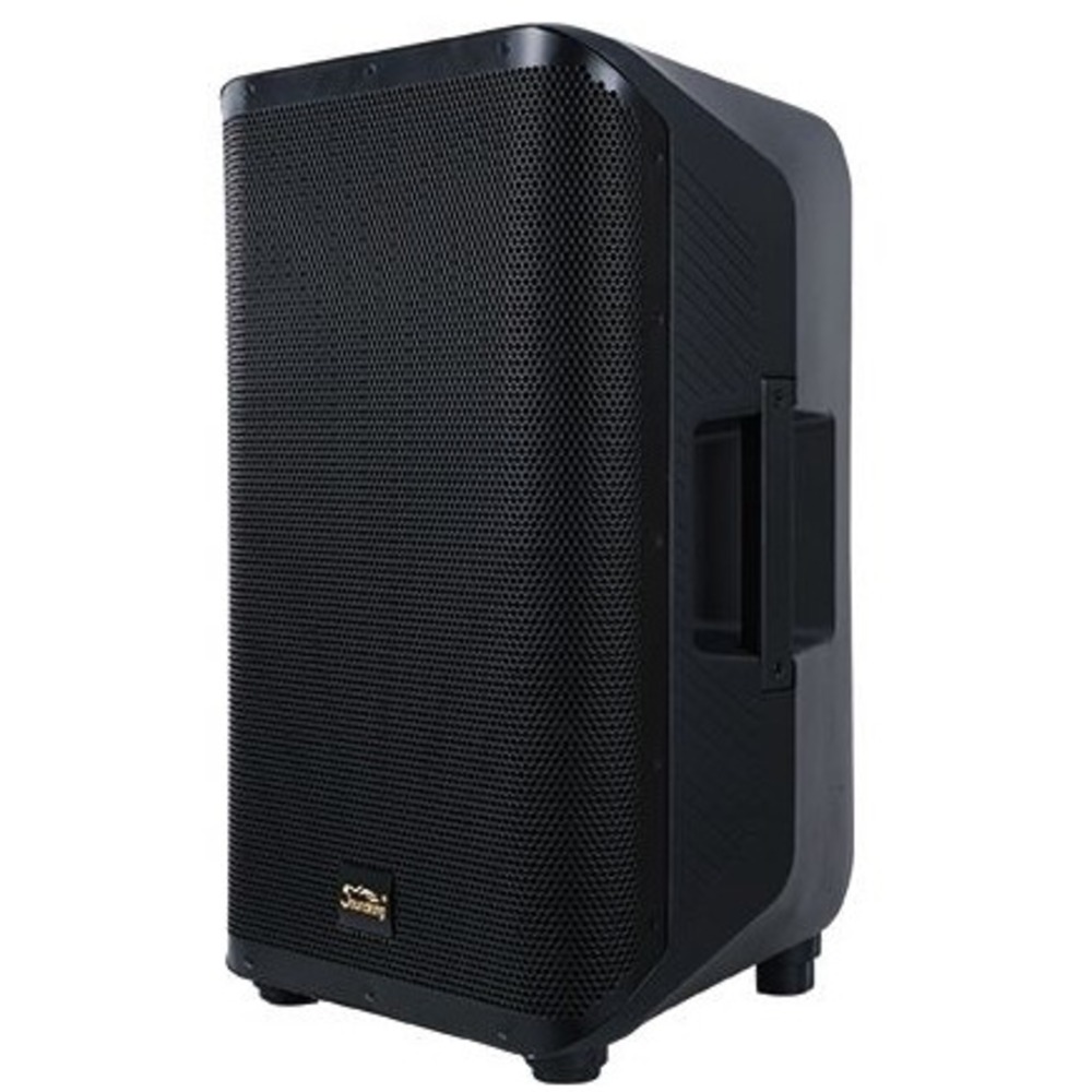 Активная акустическая система Soundking Y10P