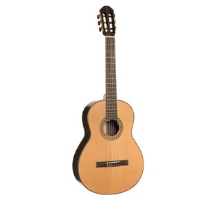 Классическая гитара Parkwood CL400-NSG-wcase