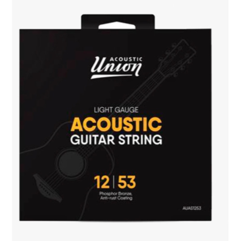 Струны для акустической гитары Acoustic Union AUAS1253