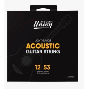 Струны для акустической гитары Acoustic Union AUAS1253