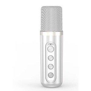 Портативная акустика IconBit K902W