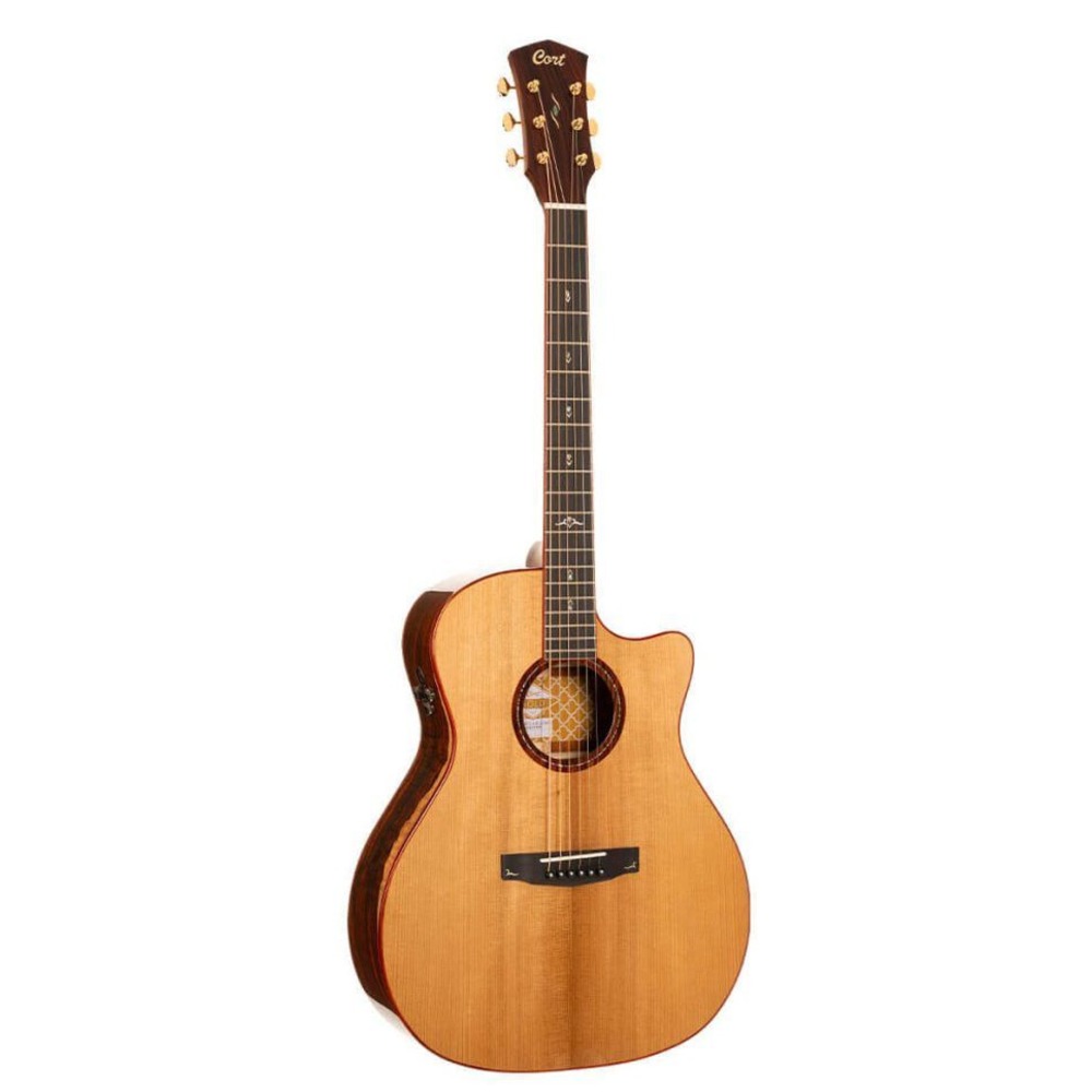 Электро-акустическая гитара Cort Gold-A10-Cocobolo-WCASE-N
