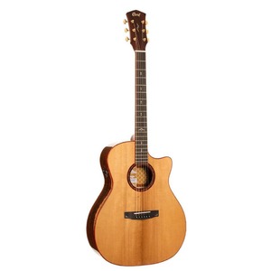Электро-акустическая гитара Cort Gold-A10-Cocobolo-WCASE-N