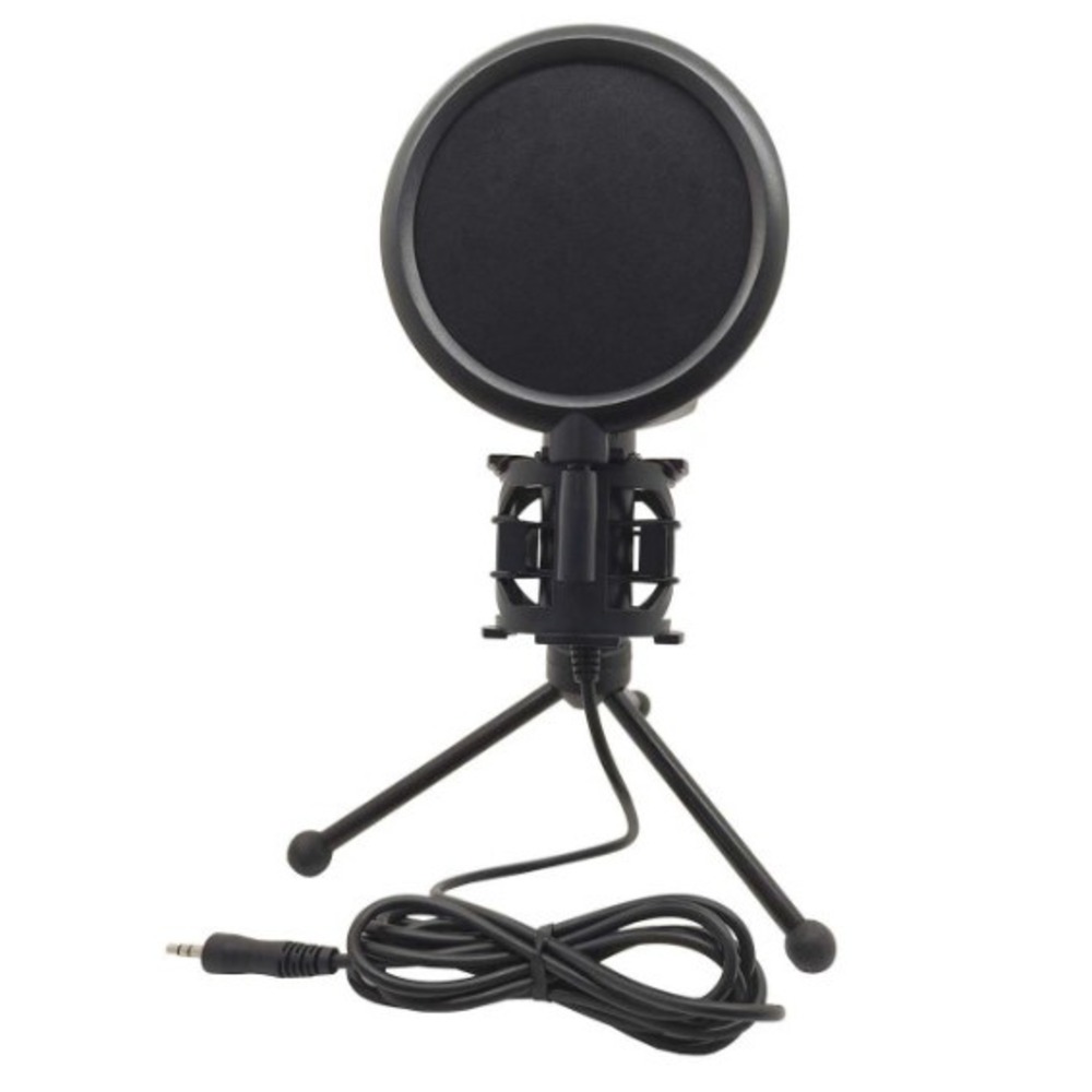 Вокальный микрофон (конденсаторный) Ritmix RDM-126 PRO Black-Green