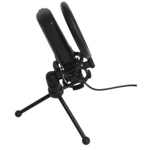 Вокальный микрофон (конденсаторный) Ritmix RDM-126 PRO Black-Green