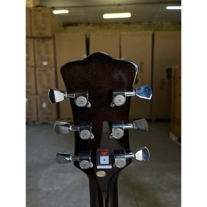 Электрогитара BULLFIGHTER LP-100 With bag Black