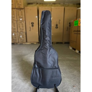 Акустическая гитара BULLFIGHTER D-4116 With bag Natural