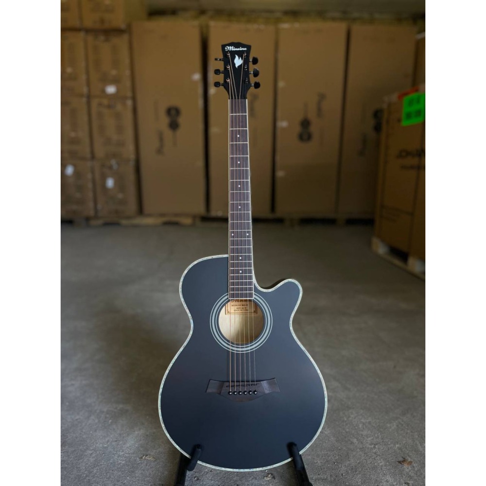 Акустическая гитара BULLFIGHTER MS-40 With bag Black