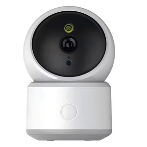 Система видеонаблюдения Ritmix IPC-310-Tuya