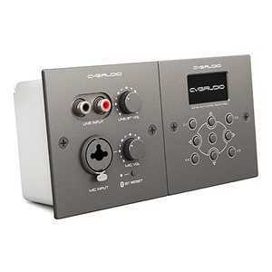 Коробка распределительная CVGaudio WB2-ERC